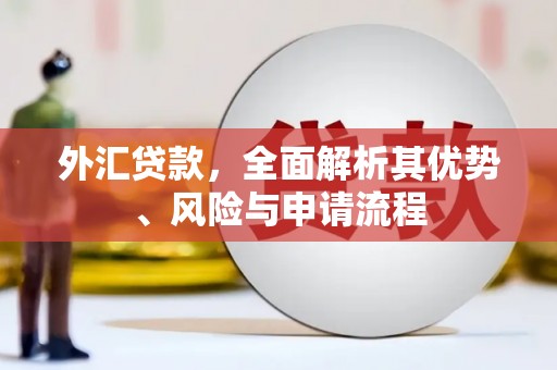 延吉外汇贷款，全面解析其优势、风险与申请流程