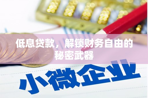 延吉低息贷款，解锁财务自由的秘密武器
