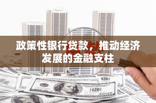 延吉政策性银行贷款，推动经济发展的金融支柱