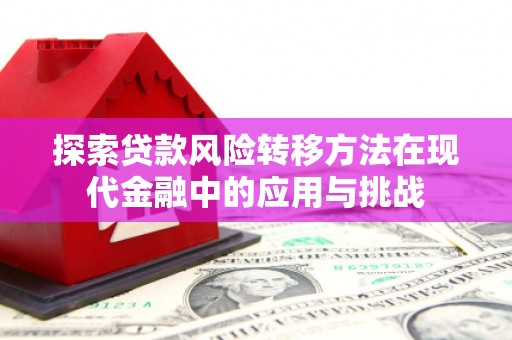 延吉探索贷款风险转移方法在现代金融中的应用与挑战
