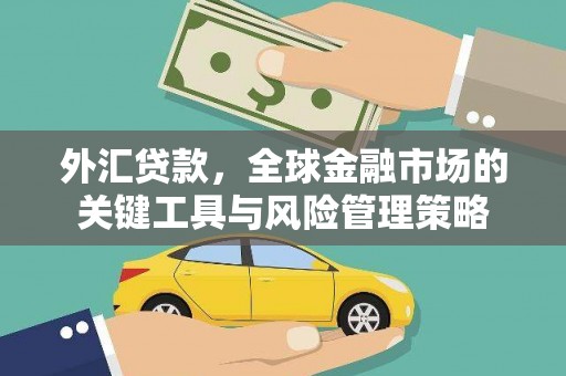 延吉外汇贷款，全球金融市场的关键工具与风险管理策略
