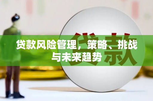 延吉贷款风险管理，策略、挑战与未来趋势