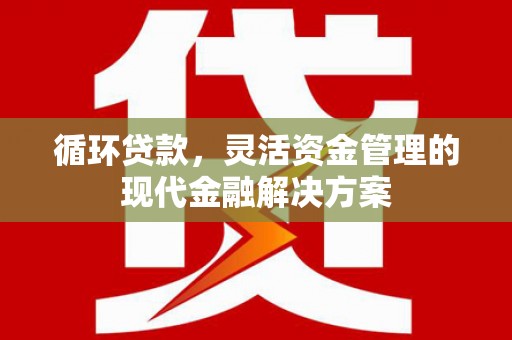 延吉循环贷款，灵活资金管理的现代金融解决方案