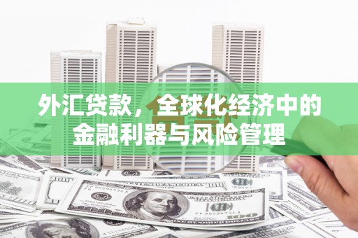 延吉外汇贷款，全球化经济中的金融利器与风险管理