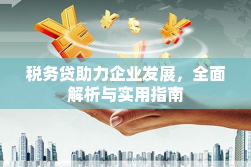 延吉税务贷助力企业发展，全面解析与实用指南