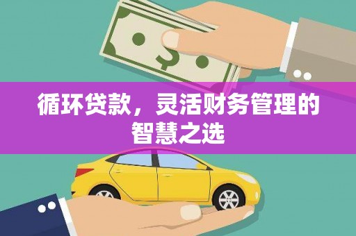 延吉循环贷款，灵活财务管理的智慧之选