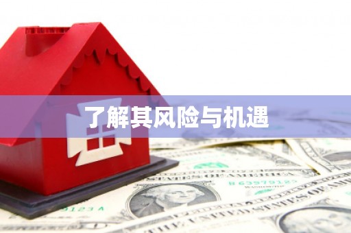 延吉了解其风险与机遇