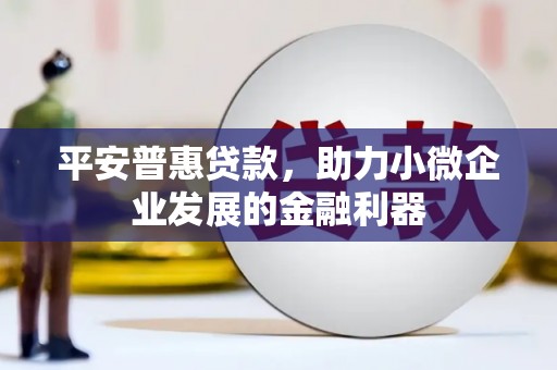 延吉平安普惠贷款，助力小微企业发展的金融利器