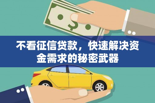 延吉不看征信贷款，快速解决资金需求的秘密武器