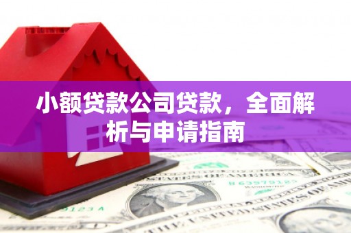 延吉小额贷款公司贷款，全面解析与申请指南