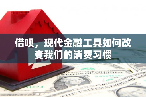 延吉借呗，现代金融工具如何改变我们的消费习惯