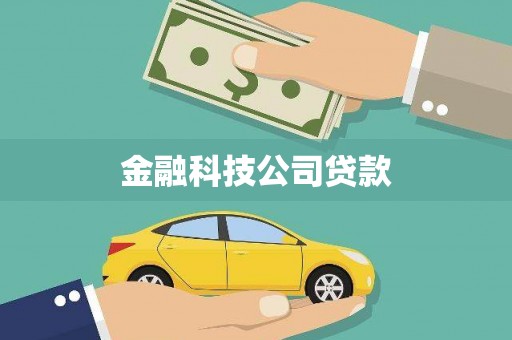 延吉金融科技公司贷款