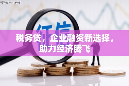 延吉税务贷，企业融资新选择，助力经济腾飞