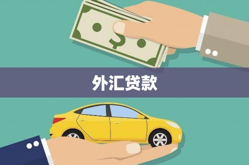 延吉外汇贷款