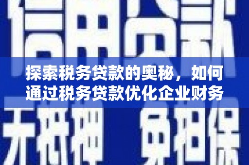延吉探索税务贷款的奥秘，如何通过税务贷款优化企业财务
