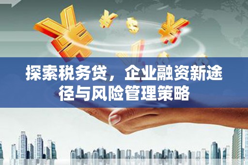 延吉探索税务贷，企业融资新途径与风险管理策略