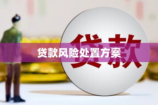 延吉贷款风险处置方案