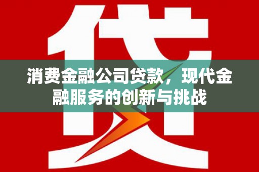 延吉消费金融公司贷款，现代金融服务的创新与挑战