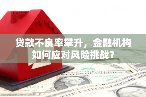延吉贷款不良率攀升，金融机构如何应对风险挑战？