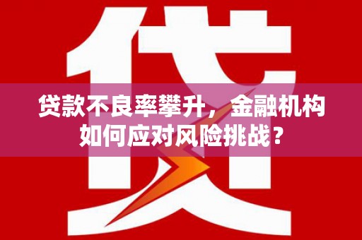 延吉贷款不良率攀升，金融机构如何应对风险挑战？