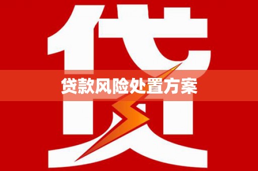 延吉贷款风险处置方案