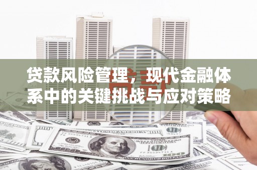 延吉贷款风险管理，现代金融体系中的关键挑战与应对策略