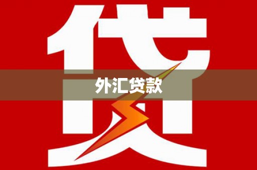 延吉外汇贷款