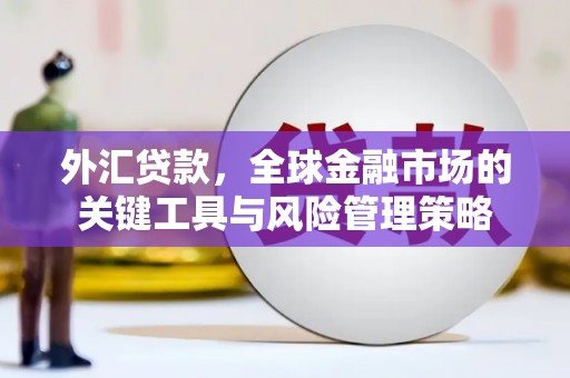 延吉外汇贷款，全球金融市场的关键工具与风险管理策略