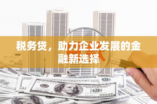 延吉税务贷，助力企业发展的金融新选择