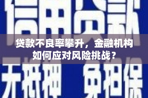 延吉贷款不良率攀升，金融机构如何应对风险挑战？