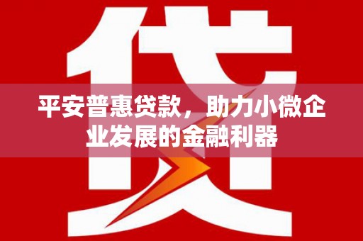 延吉平安普惠贷款，助力小微企业发展的金融利器