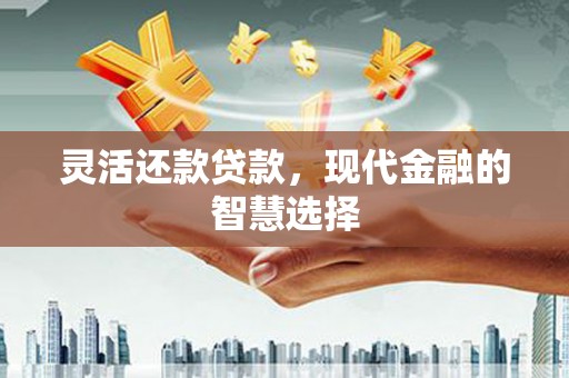 延吉灵活还款贷款，现代金融的智慧选择