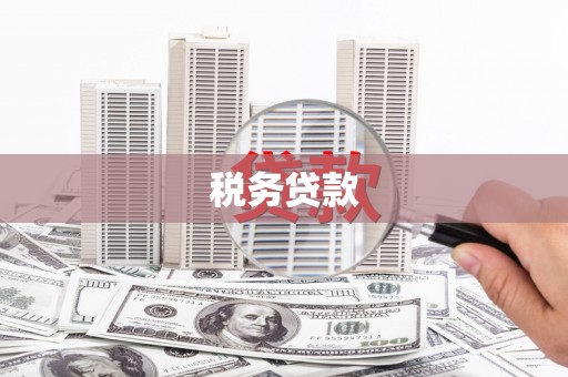 延吉税务贷款