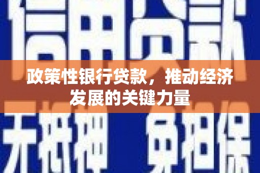 延吉政策性银行贷款，推动经济发展的关键力量