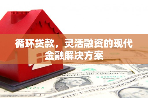 延吉循环贷款，灵活融资的现代金融解决方案