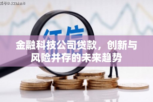 延吉金融科技公司贷款，创新与风险并存的未来趋势