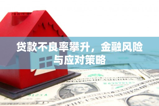 延吉贷款不良率攀升，金融风险与应对策略