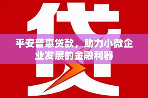 延吉平安普惠贷款，助力小微企业发展的金融利器