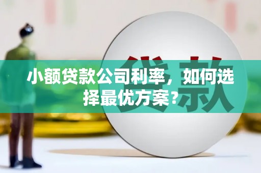 延吉小额贷款公司利率，如何选择最优方案？