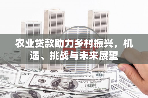 延吉农业贷款助力乡村振兴，机遇、挑战与未来展望