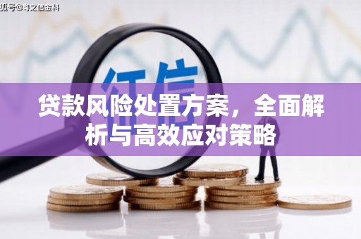 延吉贷款风险处置方案，全面解析与高效应对策略