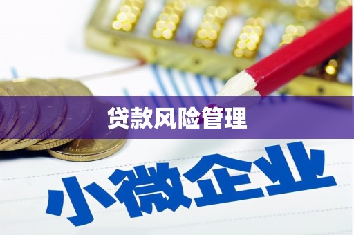 延吉贷款风险管理