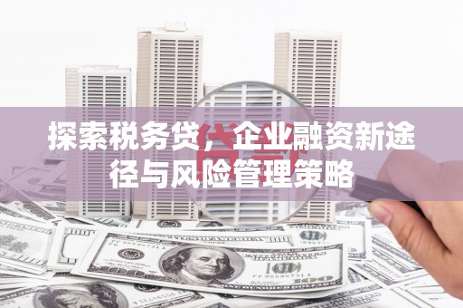 延吉探索税务贷，企业融资新途径与风险管理策略