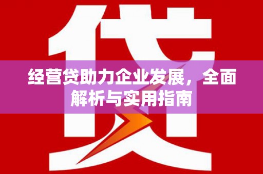 延吉经营贷助力企业发展，全面解析与实用指南
