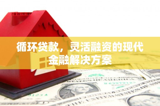 延吉循环贷款，灵活融资的现代金融解决方案
