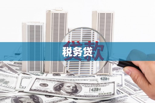 延吉税务贷