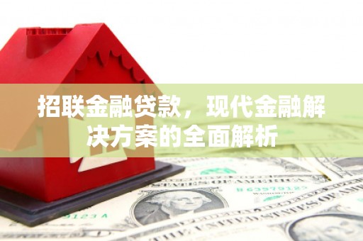 延吉招联金融贷款，现代金融解决方案的全面解析