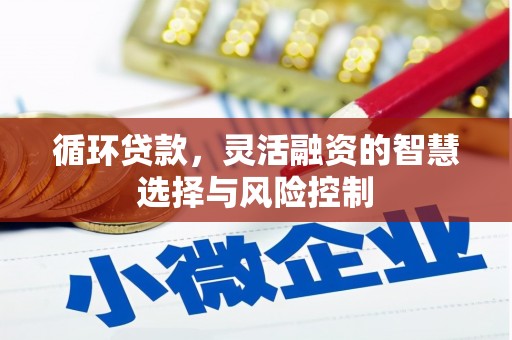 延吉循环贷款，灵活融资的智慧选择与风险控制
