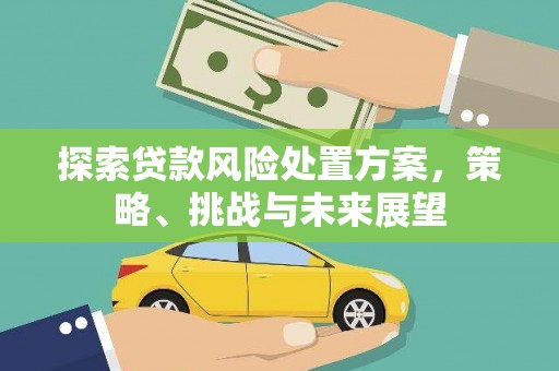 延吉探索贷款风险处置方案，策略、挑战与未来展望