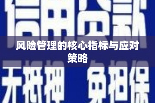 延吉风险管理的核心指标与应对策略